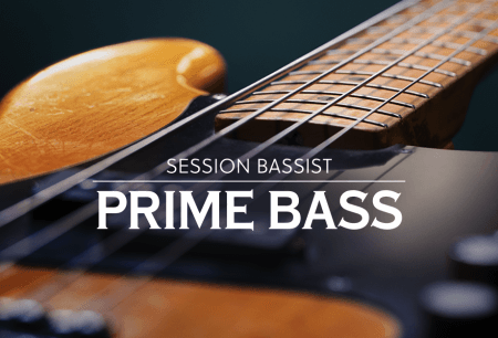 Native Instruments Session Bassist Prime Bass KONTAKT